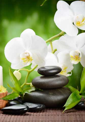 Dermalogica Ultra-Calming Facial